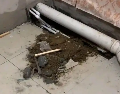 临沧市卫生间漏水检测哪家好